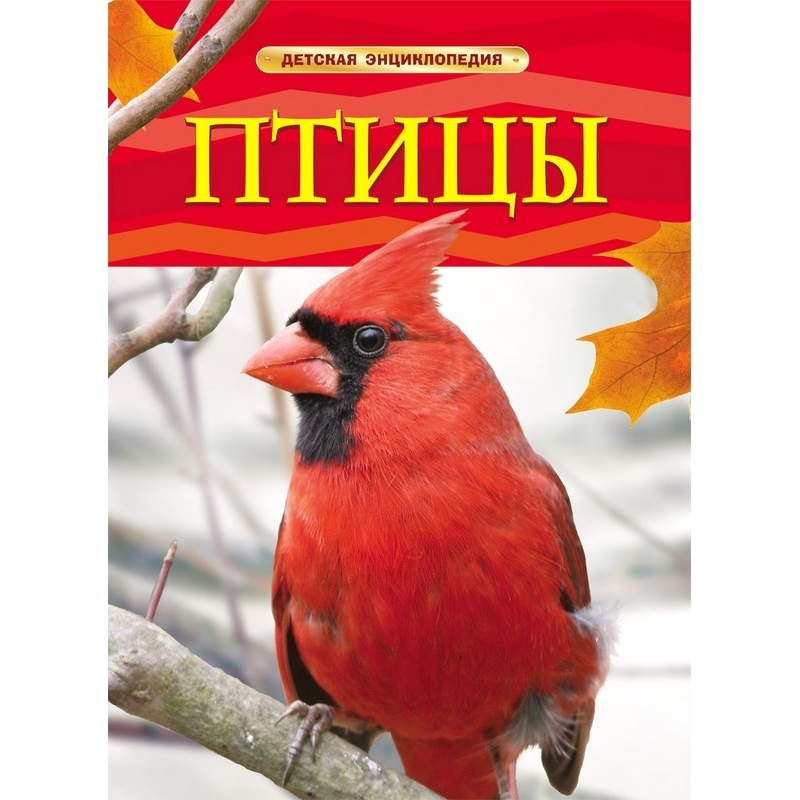 Птицы. детская энциклопедия