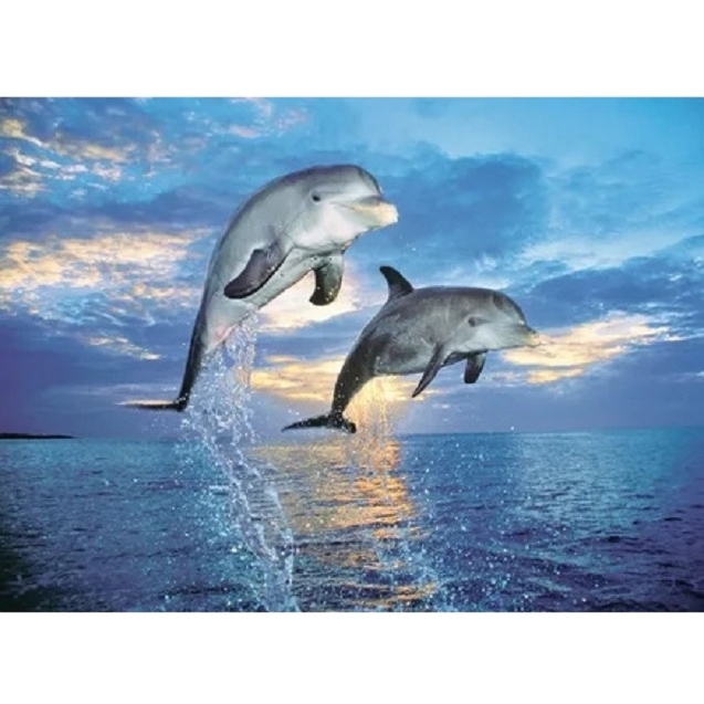 Пазлы "Два дельфина" (500 эл.)
