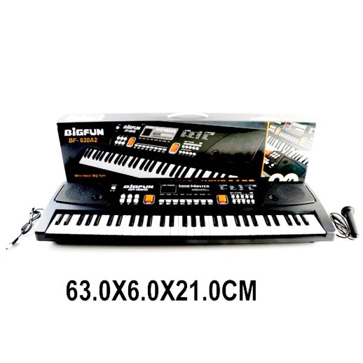 Синтезатор Bigfun (61 клавиша, запись, микрофон, черный) BF-630A2
