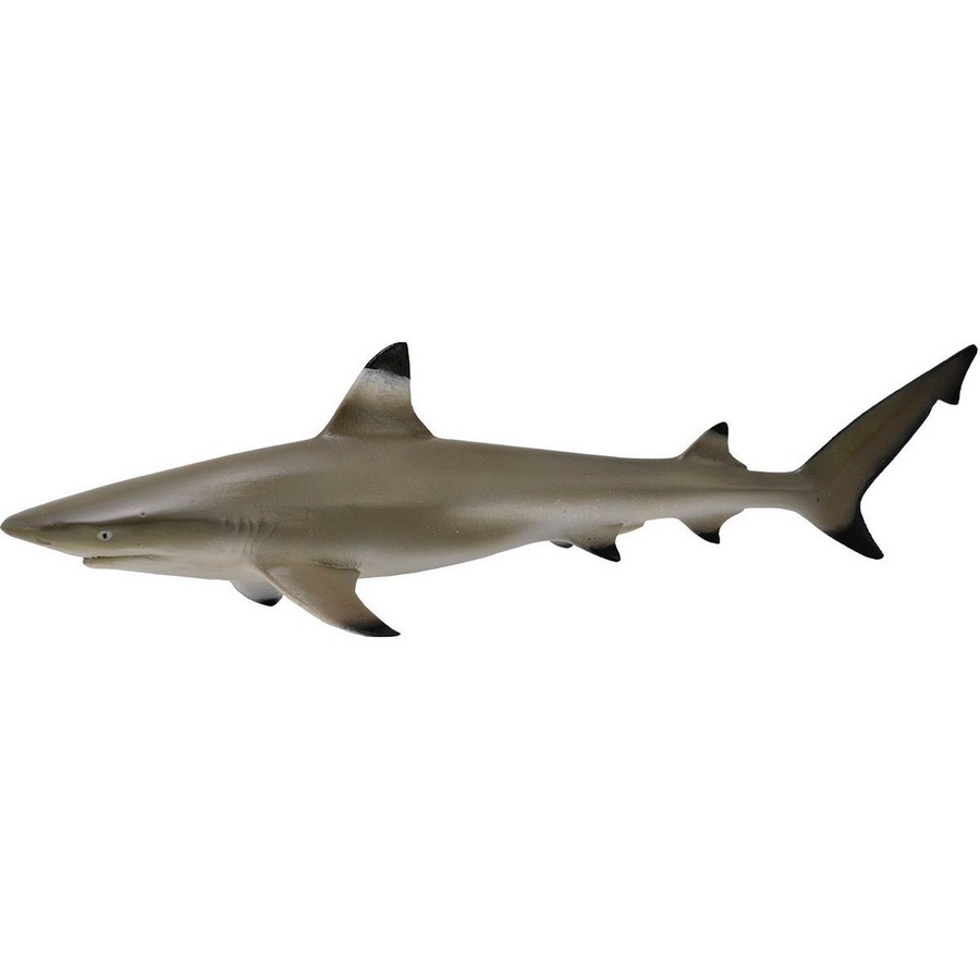 рифовая акула (m) 88726b