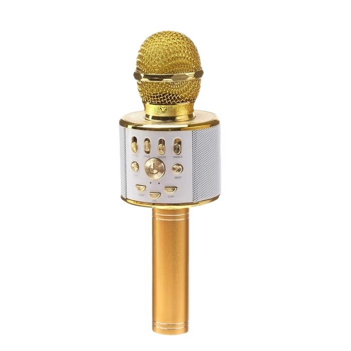 Микрофон для караоке LuazON LZZ-70 (5 Вт,1800 мАч, свет, золотистый) 4495050