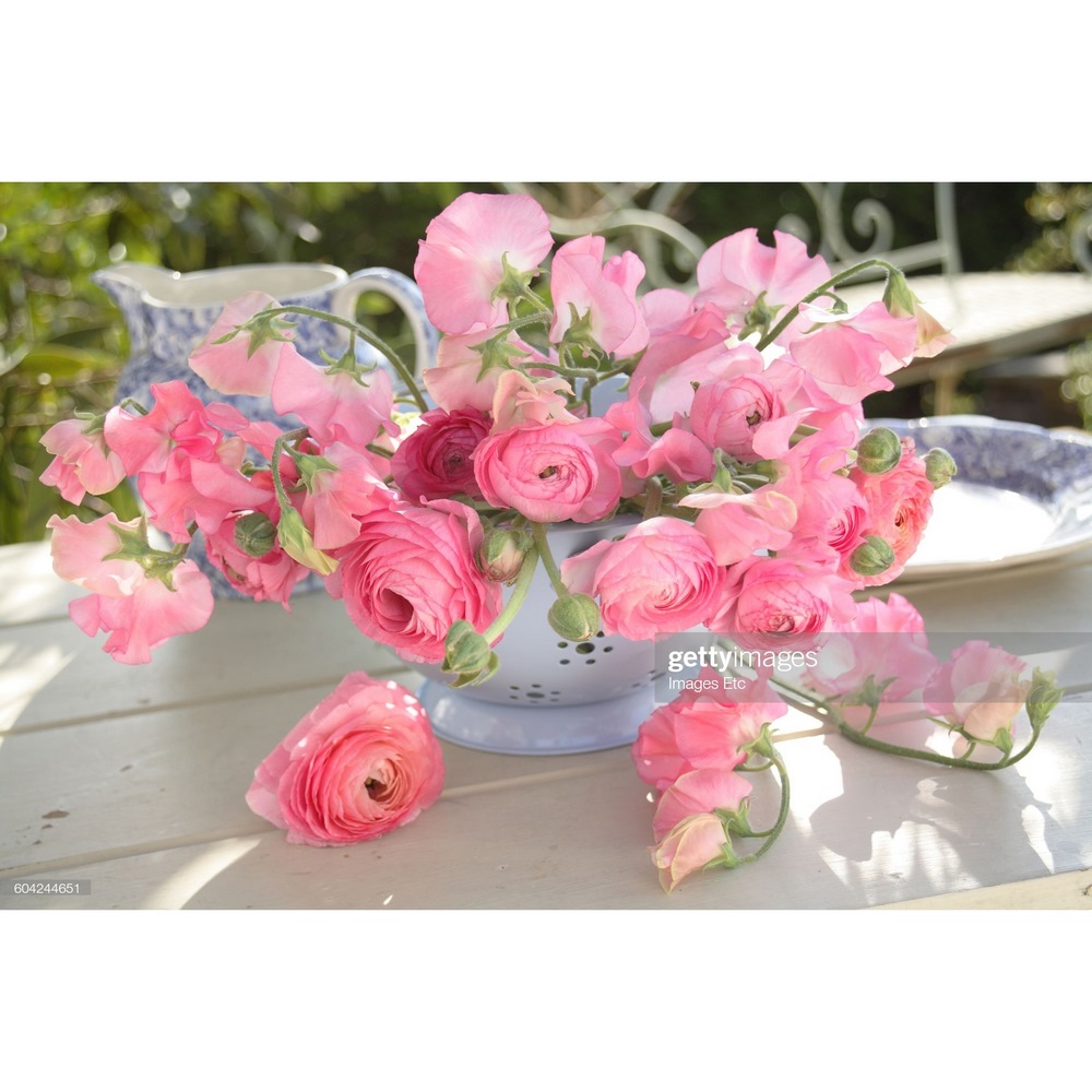 Картина по номерам "Прекрасные розовые розы" (40х50 см) х-4730