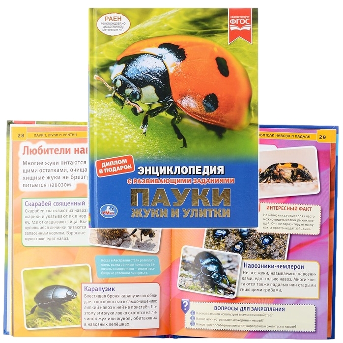 Энциклопедия "Умка" Пауки, жуки, улитки (48 стр.) 9785506035565