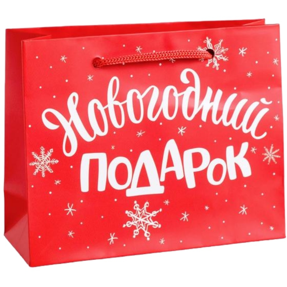 Пакет ламинированный горизонтальный «новогодний подарок», s 5.5 см × 15 см × 12 см 4262325