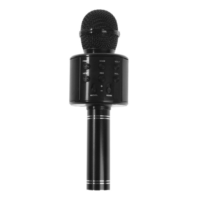 Микрофон для караоке Belsis (Bluetooth, FM, microSD, чёрный) 4942894