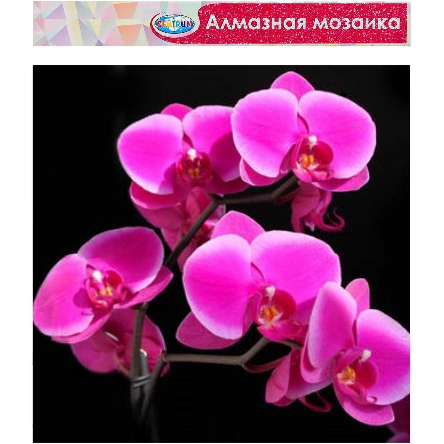 Алмазная мозаика "Орхидеи" (40х50 см)