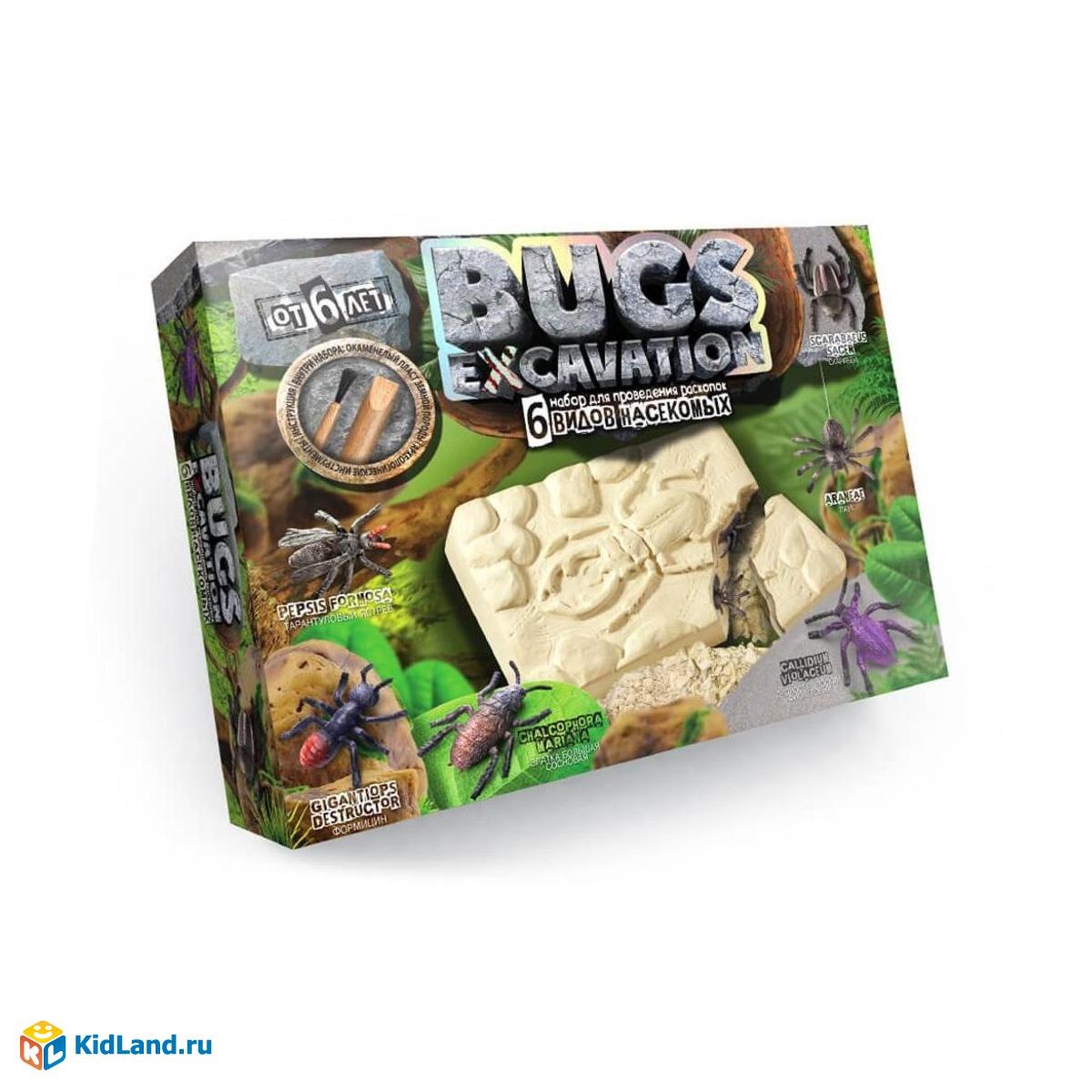 Набор для проведения раскопок Bugs Excavation Насекомые (жуки и пауки) BEX-01-01
