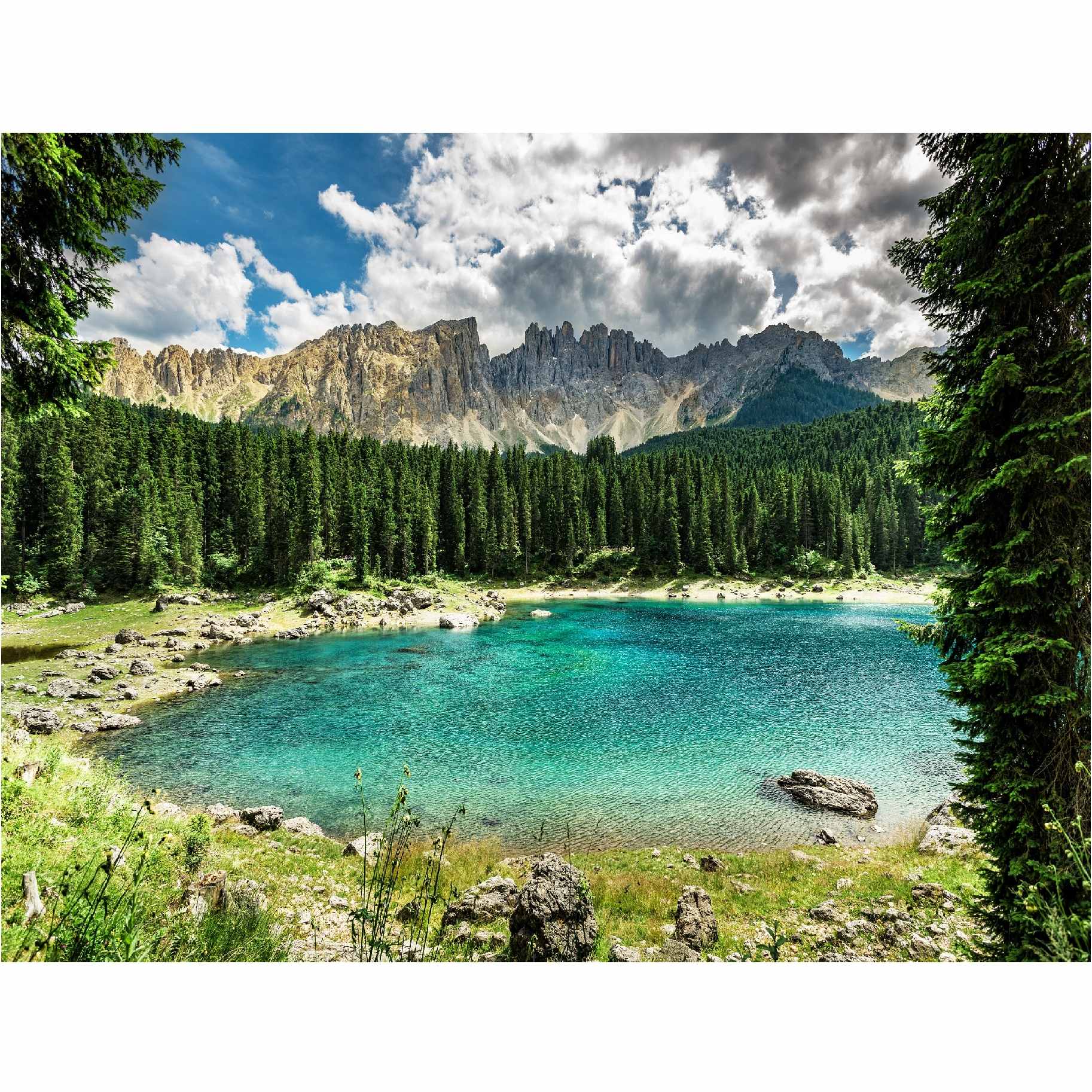 Алмазная мозаика "Красивое озеро в лесу" (33 цвета, 40х50 см)