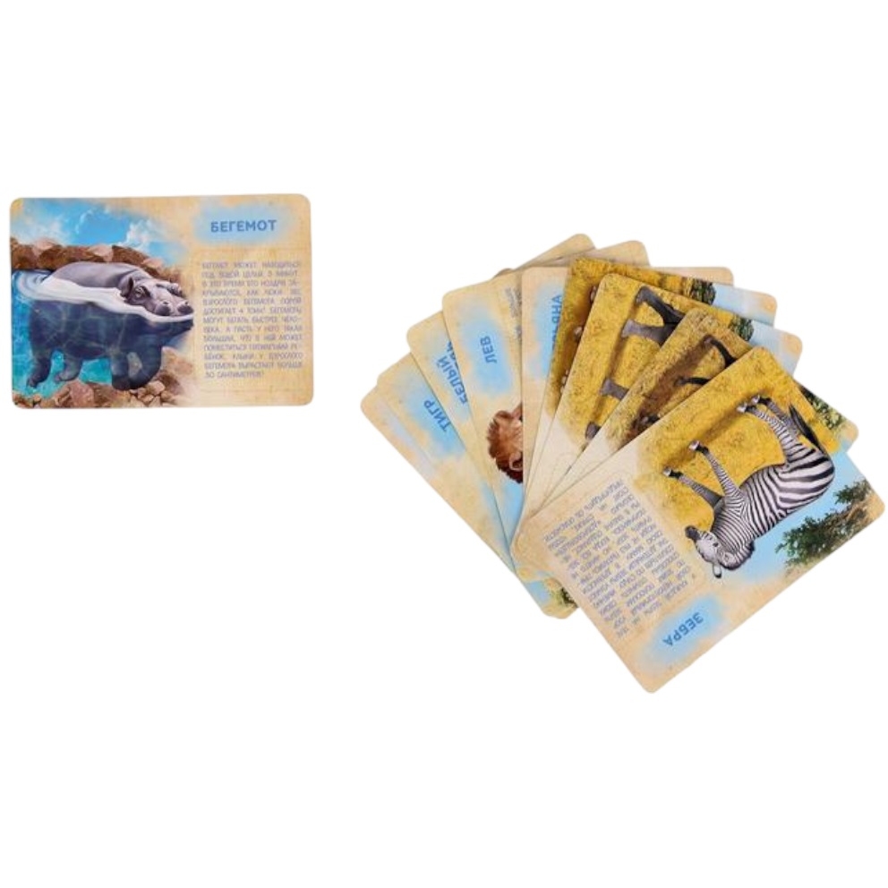 Обучающий набор с карточками IQ-Zabiaka "Дикие животные разных стран" 2519485