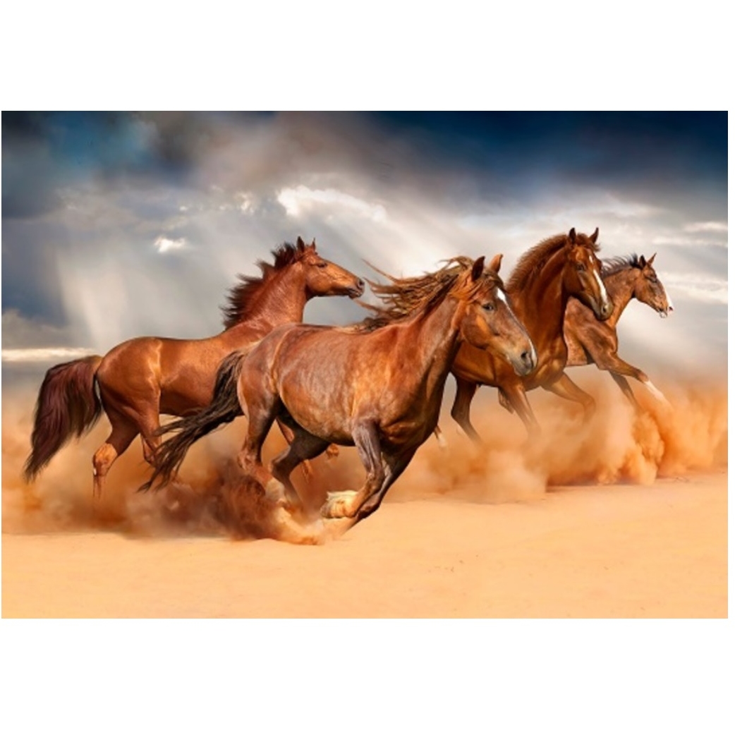 Картина по номерам "Бегущие лошади в пустыне" (40х50 см) ХК-8014