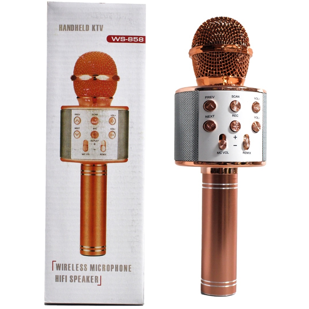 Микрофон в ассортименте WS-858