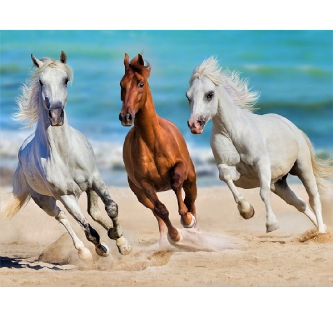 Холст с красками 30х40 см. по номерам (20 цв.) Тройка коней у моря ( Арт. ХК-6613) ХК-6613
