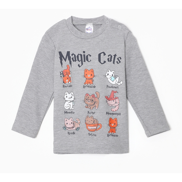 Лонгслив д/д 92 MAGIC CATS серый меланж 10201754