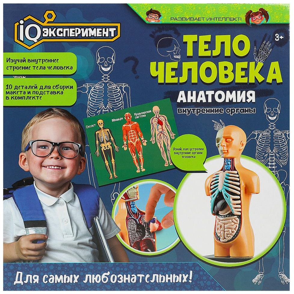 Игрушка опыты тело человека IQ Эксперимент в кор.2*48шт A365-H24041-R