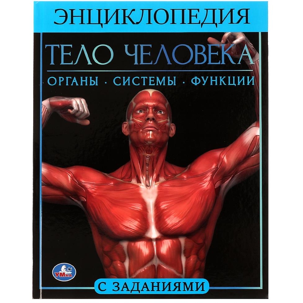 Тело человека. Энциклопедия А4. 197х255мм, 48 стр.мелов. бумага, тв. переплет, Умка в кор.15шт 978-5-506-06178-6
